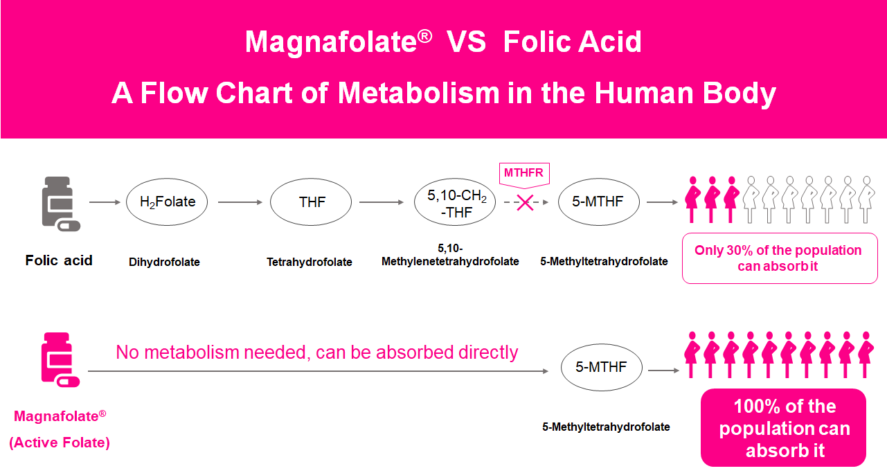 Diagram alir Metabolisme dalam tubuh manusia, Folat Aktif VS Asam Folat