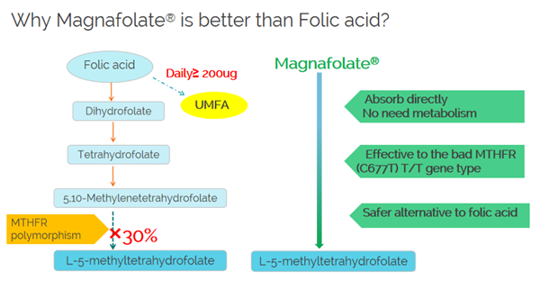 Mengapa Magnafolate lebih baik dari asam folat?