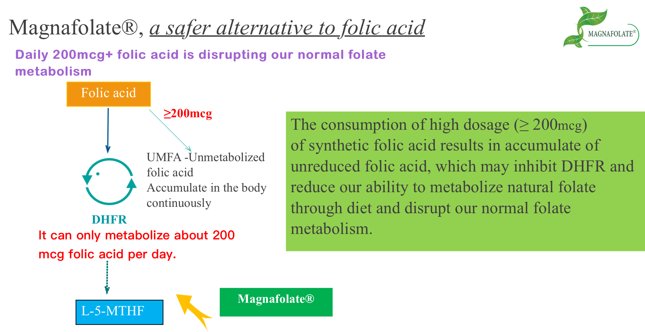 Magnafolate, Alternatif Asam Folat yang Lebih Aman