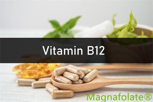 Vitamin B12：Pendahuluan,Manfaat,Kesehatan
