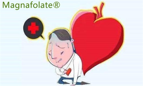 L-5-Methylfolate:Dapat Mengurangi Risiko Stroke & Serangan Jantung