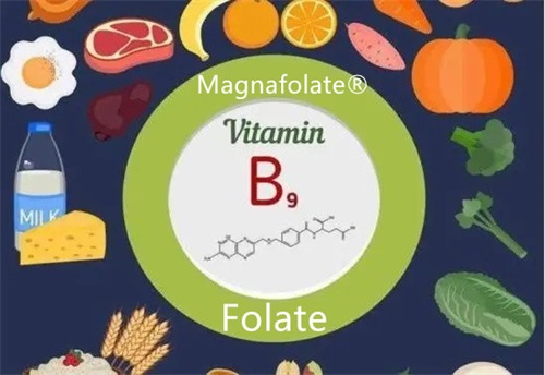 Apa itu anemia defisiensi folat?