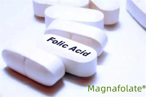Tentang asam folat