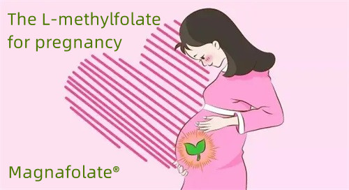 Folat dan L Methylfolate pada orang hamil