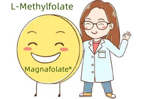 Sumber tambahan asam folat dan L-Methylfolate