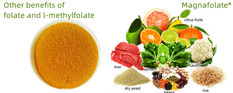 Manfaat lain dari folat dan L-Methylfolate