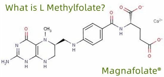 Apa itu l-metilfolat?