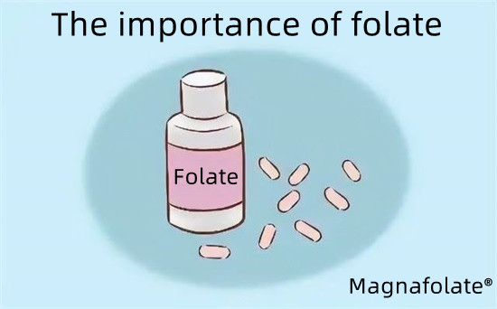 Pentingnya folat-Magnafolat