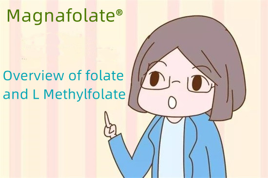 Sekilas tentang folat dan L Methylfolate