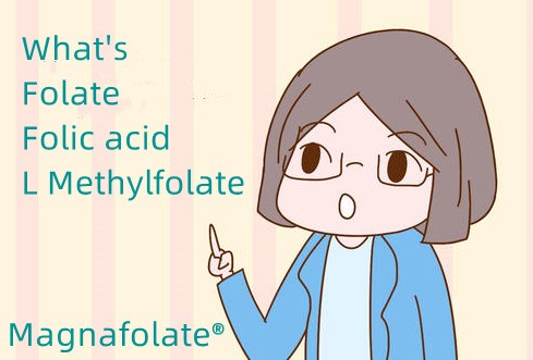 Apa itu folat dan asam folat dan L Methylfolate?