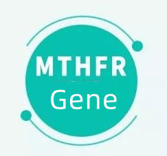 Apa artinya jika Anda memiliki gen MTHFR?