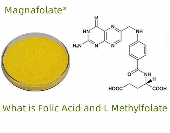 Apa itu folat VS asam folat VS L-metilfolat