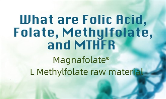 Apa itu asam folat, folat, metilfolat dan MTHFR?