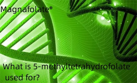 Untuk apa 5-metiltetrahidrofolat digunakan?