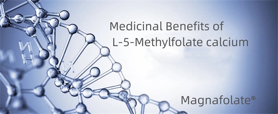 Manfaat Obat Kalsium L-5-Methylfolate