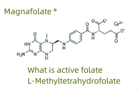 Apa itu folat aktif dan L-Methyltetrahydrofolate