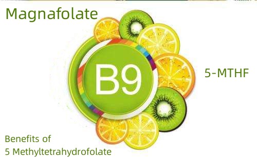 Manfaat 5 Methyltetrahydrofolate