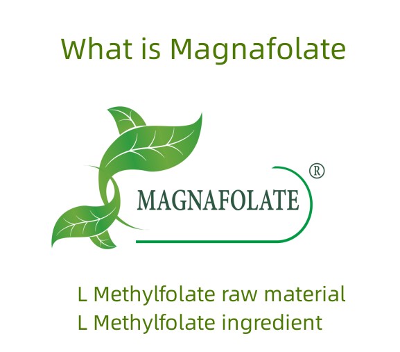 Apa itu Magnafolat?