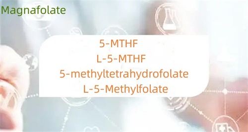 Apa perbedaan antara 5-metiltetrahidrofolat dan folat