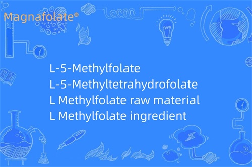 Apa yang dilakukan L Metilfolat?