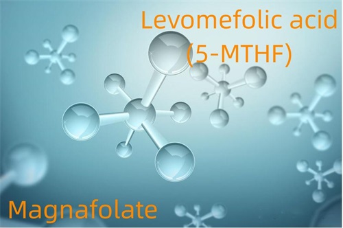 Asam Levomefolic (5-MTHF) -Magnafolat