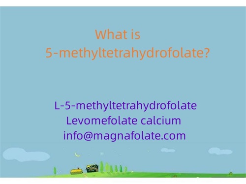 Apa itu 5-metiltetrahidrofolat?