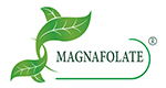 Magnafolate® VS asam folat