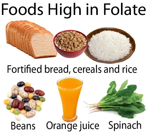 Klasifikasi Folat - Folat Makanan