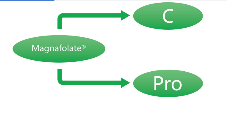 Magnafolate C dan Pro—L-Methylfolate Kalsium