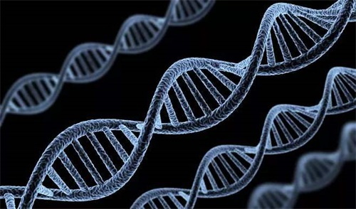 Genotipe enzim pemetabolisme folat yang tidak normal merupakan penyebab utama gangguan metabolisme folat