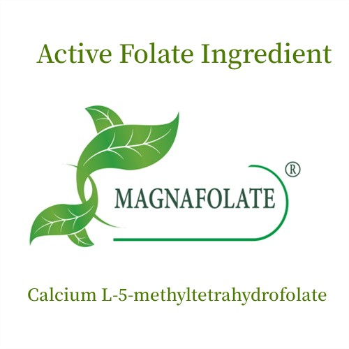 Kalsium Folat Aktif L-5-metiltetrahidrofolat