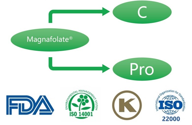 Apa itu Kalsium L-5-metiltetrahidrofolat? Apa saja pemasoknya?