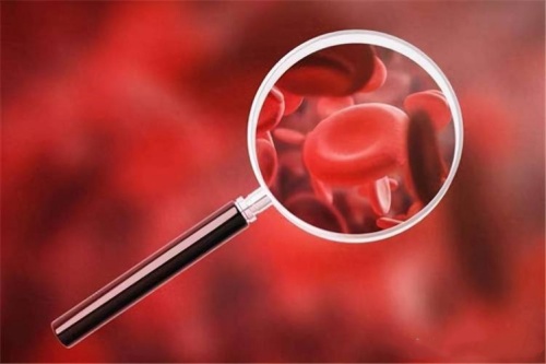 Mengapa Defisiensi Folat Menyebabkan Anemia