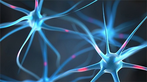 Mengapa Defisiensi Folat Dapat Menyebabkan Masalah Neurologis