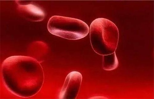 Mengapa kekurangan folat menyebabkan masalah sistem kekebalan tubuh
