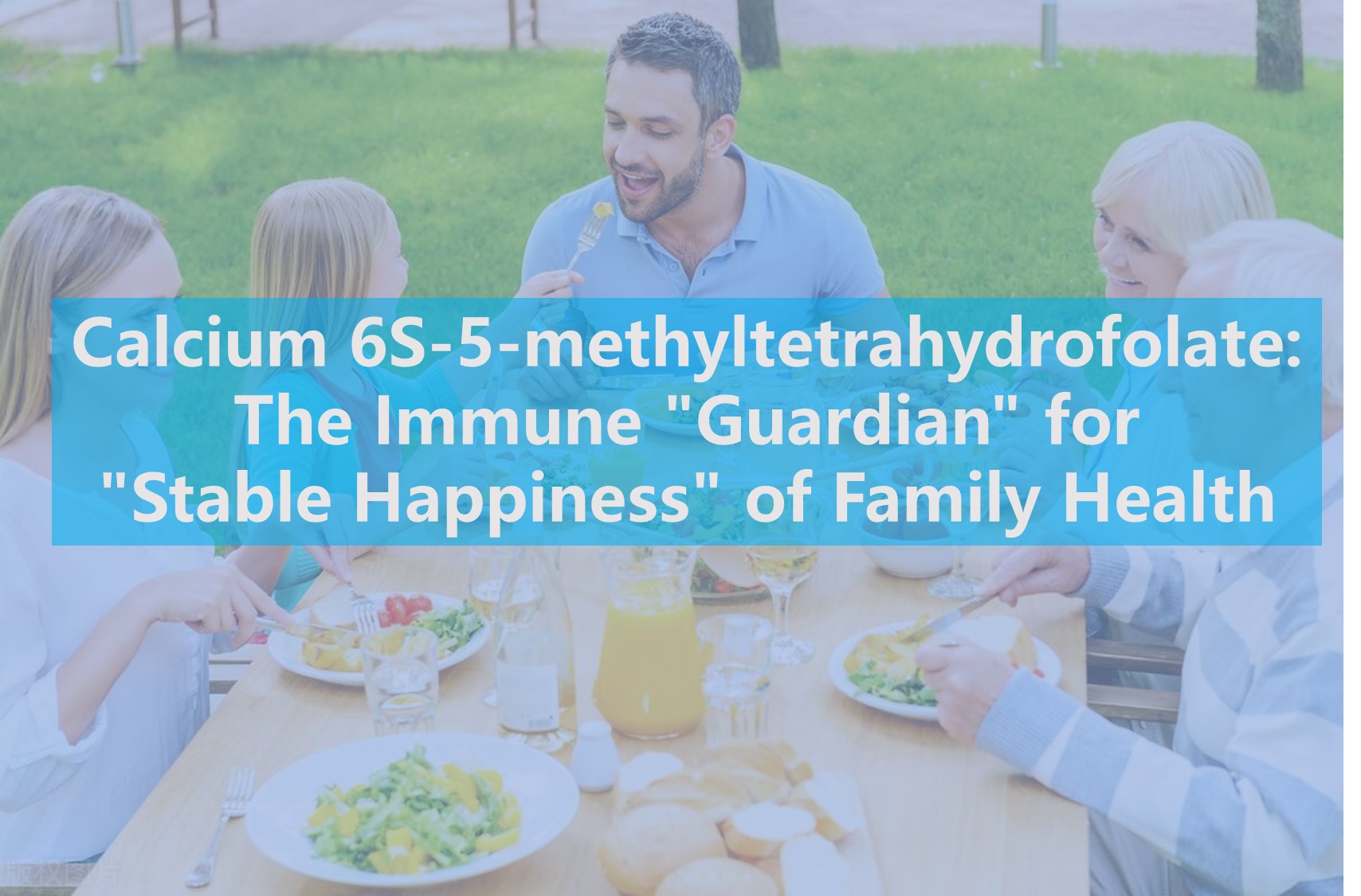 Kalsium 6S-5-Methyltetrahydrofolate: The Emune 