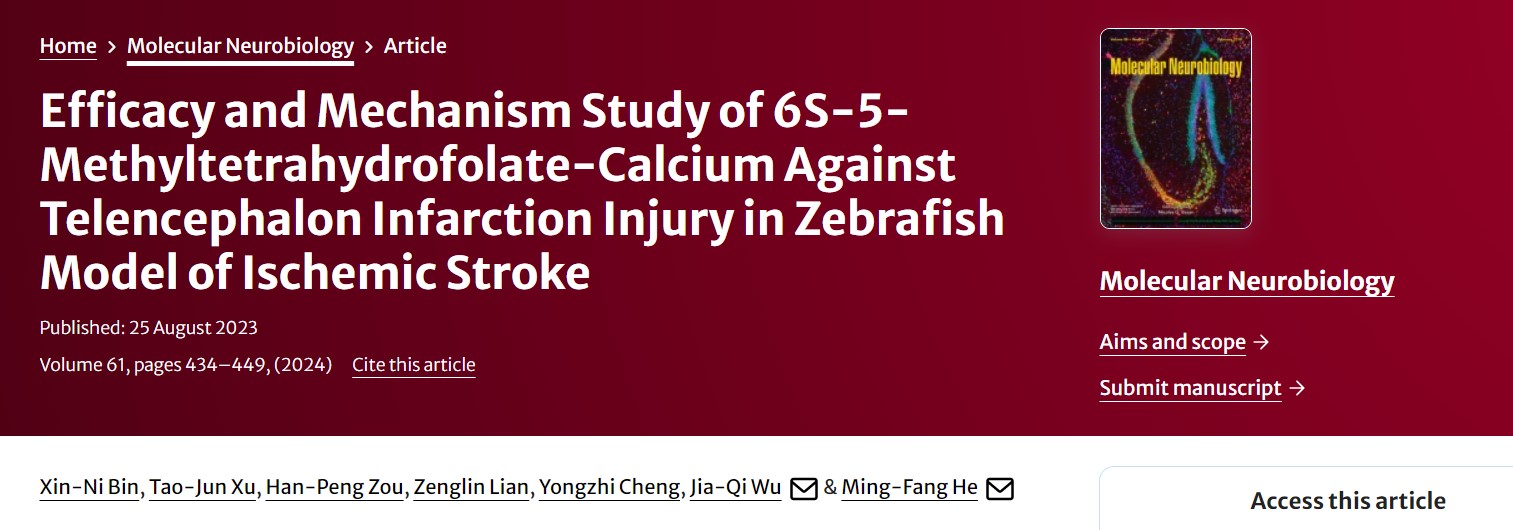 Melindungi Kesehatan Otak: Kalsium 6S-5-Methyltetrahydrofolate, Harapan Baru untuk Pencegahan dan Perawatan Stroke